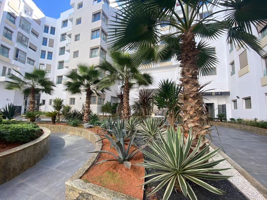 Corniche - Black New * Casa Blanca